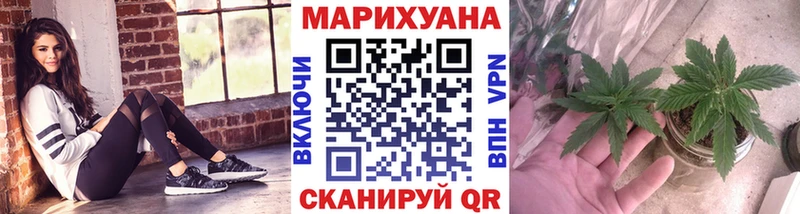 Шишки марихуана марихуана Высоцк